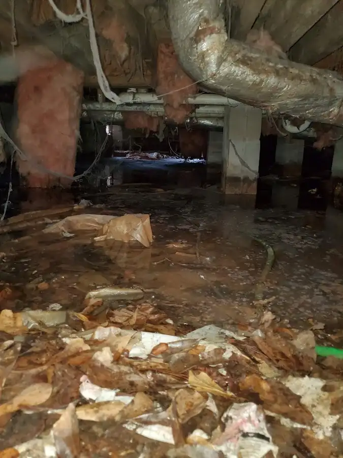 Crawl space flood assessment for Leak Detection & Repair in Lumberton